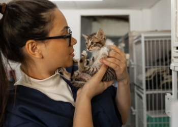 Découvrez les Secrets pour Ouvrir Votre Propre Refuge pour Animaux et Réussir