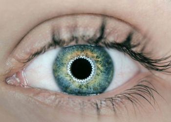 Découvrez la Révolution : La Détection de Chutes Arrive sur Vision Pro et Lentilles de Contact