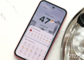 Découvrez le Nouveau Tracker de Pollens de Pixel Weather : Votre Solution pour Préparer les Allergies aux États-Unis !
