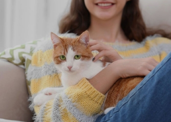 Découvrez pourquoi votre chat vous lèche et les secrets derrière ce comportement !