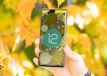 Fin des mises à jour de sécurité pour Android 12 : Que signifie cela pour votre appareil ?