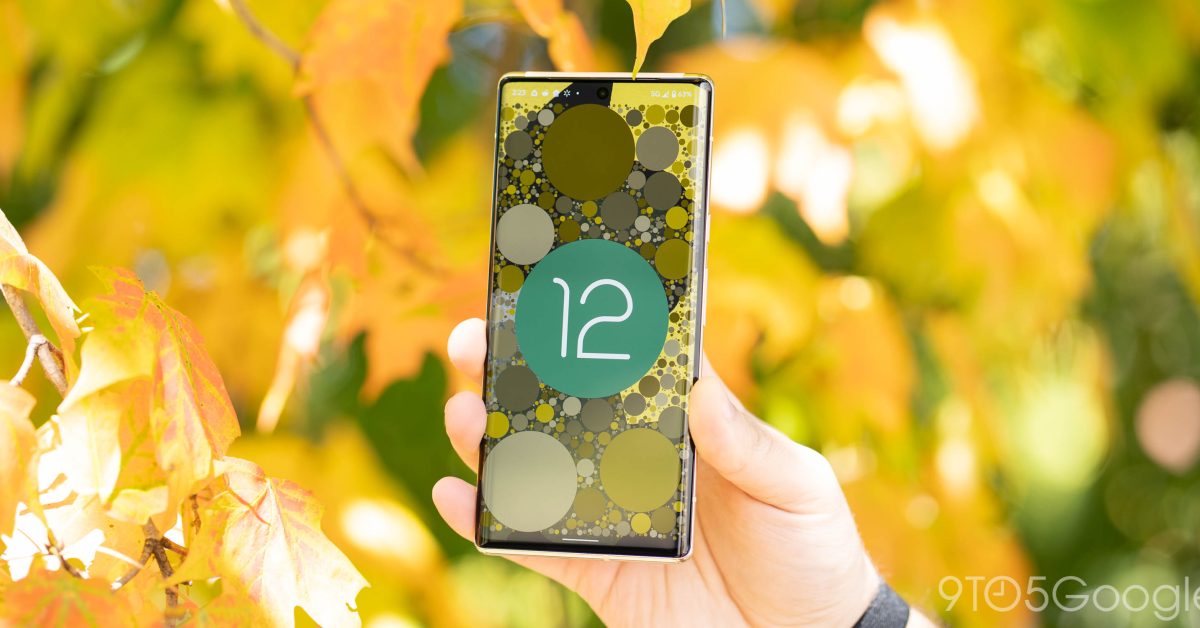 Fin des mises à jour de sécurité pour Android 12 : Que signifie cela pour votre appareil ?