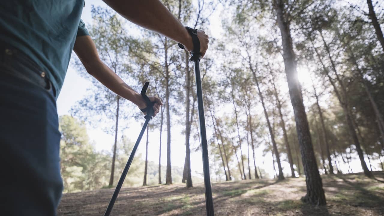 Découvrez comment vous amuser tout en sculptant votre silhouette et perdant du poids !