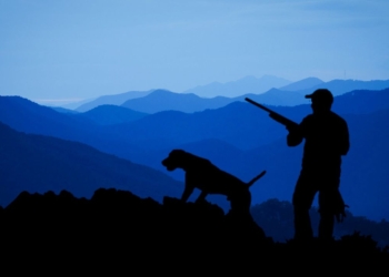 La Vérité sur l&rsquo;Importance et l&rsquo;Utilité de la Chasse en France : Ce Que Vous Devez Savoir !