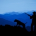 La Vérité sur l&rsquo;Importance et l&rsquo;Utilité de la Chasse en France : Ce Que Vous Devez Savoir !