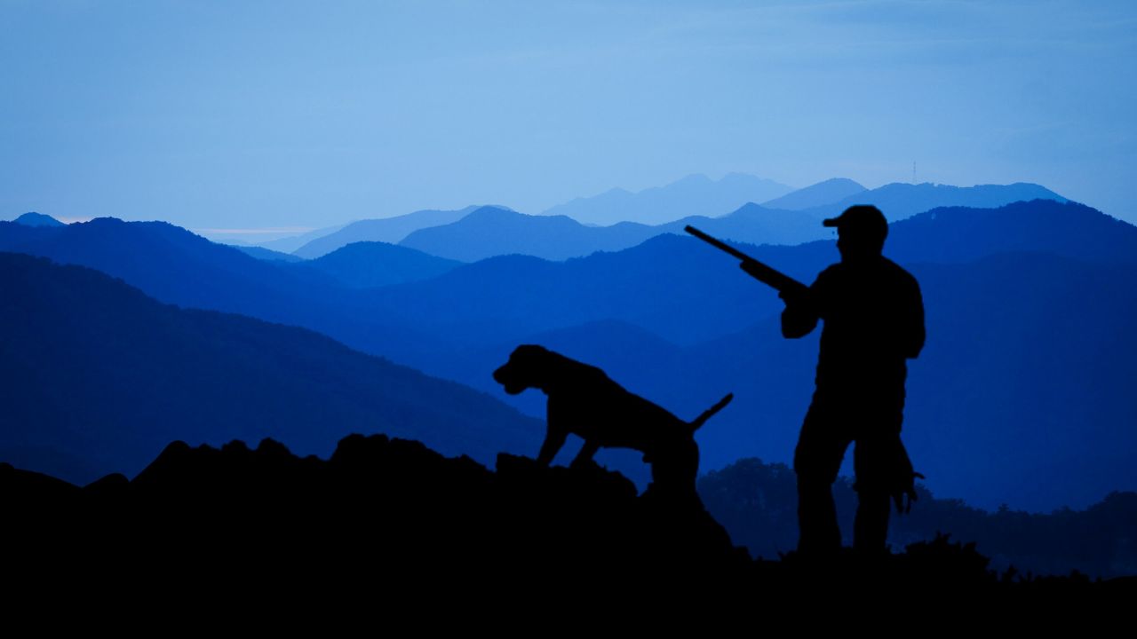 La Vérité sur l&rsquo;Importance et l&rsquo;Utilité de la Chasse en France : Ce Que Vous Devez Savoir !