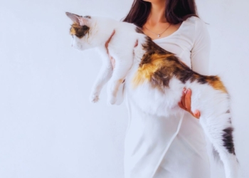 Découvrez les Astuces Infaillibles pour un Chat Svelte et en Pleine Santé !