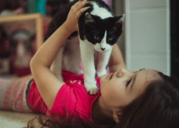 Découvrez Pourquoi Votre Chat Préfère Miaulement et Communication avec Vous Plutôt Qu&rsquo;avec Ses Pairs
