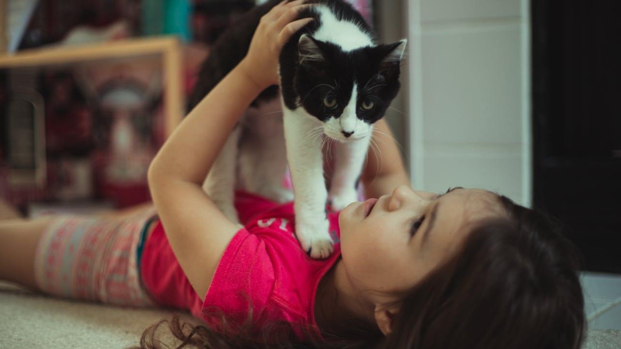 Découvrez Pourquoi Votre Chat Préfère Miaulement et Communication avec Vous Plutôt Qu&rsquo;avec Ses Pairs