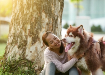 Découvrez les Surprenants Effets des Chiens sur Votre Santé : Bienfaits et Risques Révélés