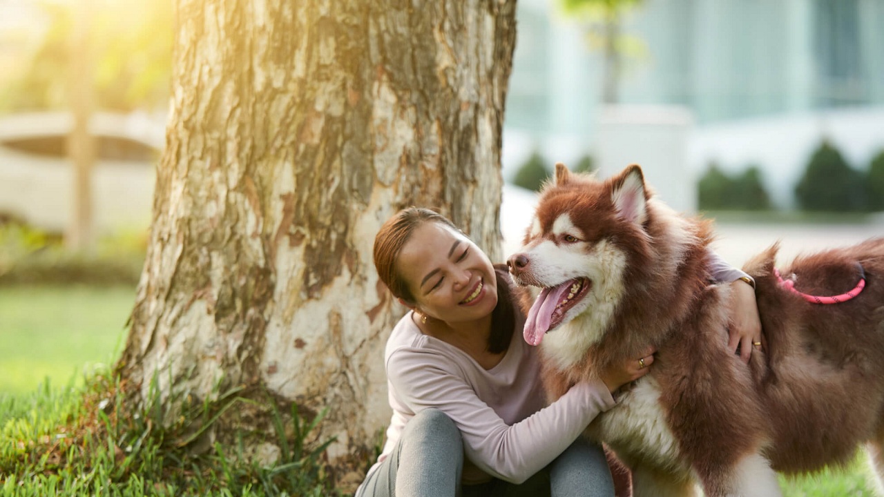 Découvrez les Surprenants Effets des Chiens sur Votre Santé : Bienfaits et Risques Révélés
