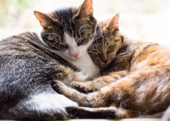 Découvrez ces 15 astuces incontournables pour booster leur confiance en eux !