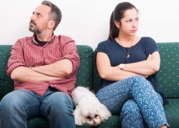 Découvrez le Secret Étonnant : Pourquoi Votre Chien Prend Toujours Parti en Dispute Familiale !