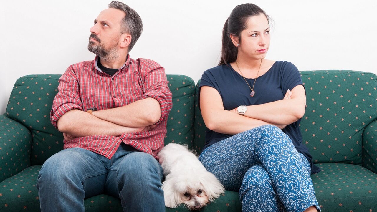 Découvrez le Secret Étonnant : Pourquoi Votre Chien Prend Toujours Parti en Dispute Familiale !