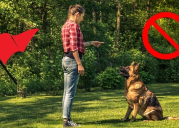 Les 8 Signes Alarmants que Vous Devez Absolument Connaître !