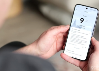 Découvrez la Nouvelle Fonctionnalité du Pixel : Suivi des Pollen en Temps Réel aux États-Unis !