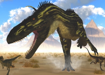 Découvrez les 5 Animaux les Plus Rapides de la Préhistoire : Incroyables Secrets Révélés !