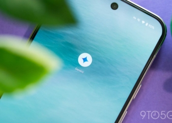 Découvrez Comment l&rsquo;App Gemini Révolutionne la Recherche de Chats !
