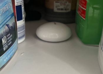 Protégez vos Parquets en Bois : Découvrez le Capteur de Fuite d&rsquo;Eau HomeKit de FIBARO !