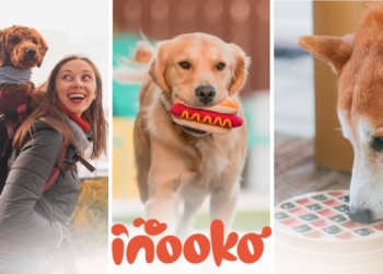 Découvrez la Boutique Française d’Accessoires Éthiques pour Chiens : Offrez le Meilleur à Votre Compagnon !