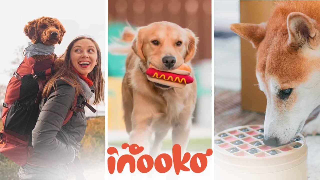 Découvrez la Boutique Française d&rsquo;Accessoires Éthiques pour Chiens : Offrez le Meilleur à Votre Compagnon !