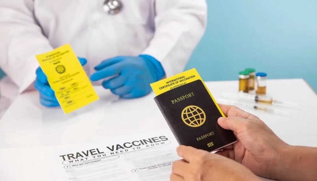 vaccin santé voyage au Japon