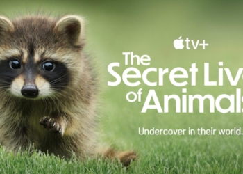 Apple Docuseries en Plein Essor : 6 Nominations aux Daytime Emmy Awards qui Font Parler d&rsquo;Elles !