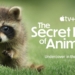 Apple Docuseries en Plein Essor : 6 Nominations aux Daytime Emmy Awards qui Font Parler d&rsquo;Elles !