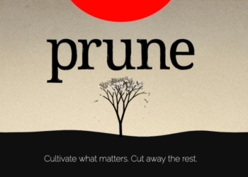 Découvrez les Offres Immanquables d&rsquo;Applications Android : Dawncaster, Pocket Stables, Prune et Bien Plus !