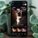 Découvrez le Nouveau Design de l’Éditeur Google Photos sur Android : Astuces pour en Profiter au Maximum !