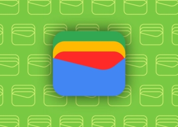 Google Wallet Révolutionne le Paiement : Il Ajoute le Support de la Carte d&rsquo;Identité de Montana !