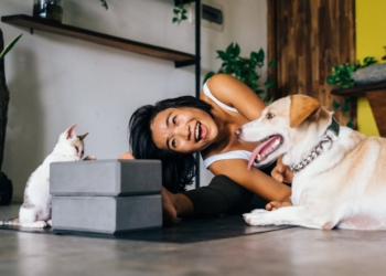 Voici un titre légèrement putaclic optimisé pour le SEO :
« Découvrez pourquoi posséder un chien ou un chat pourrait vous rendre aussi heureux que gagner plus de 80 000 euros par an ! »