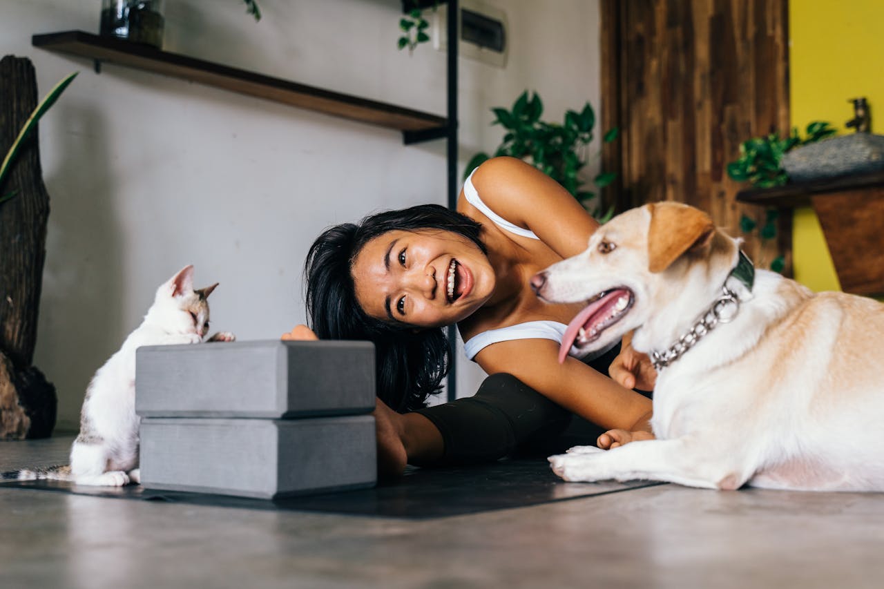Voici un titre légèrement putaclic optimisé pour le SEO :

« Découvrez pourquoi posséder un chien ou un chat pourrait vous rendre aussi heureux que gagner plus de 80 000 euros par an ! »