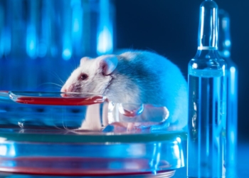 Découvrez Pourquoi les Souris de Laboratoire sont Indispensables pour les Expériences Scientifiques